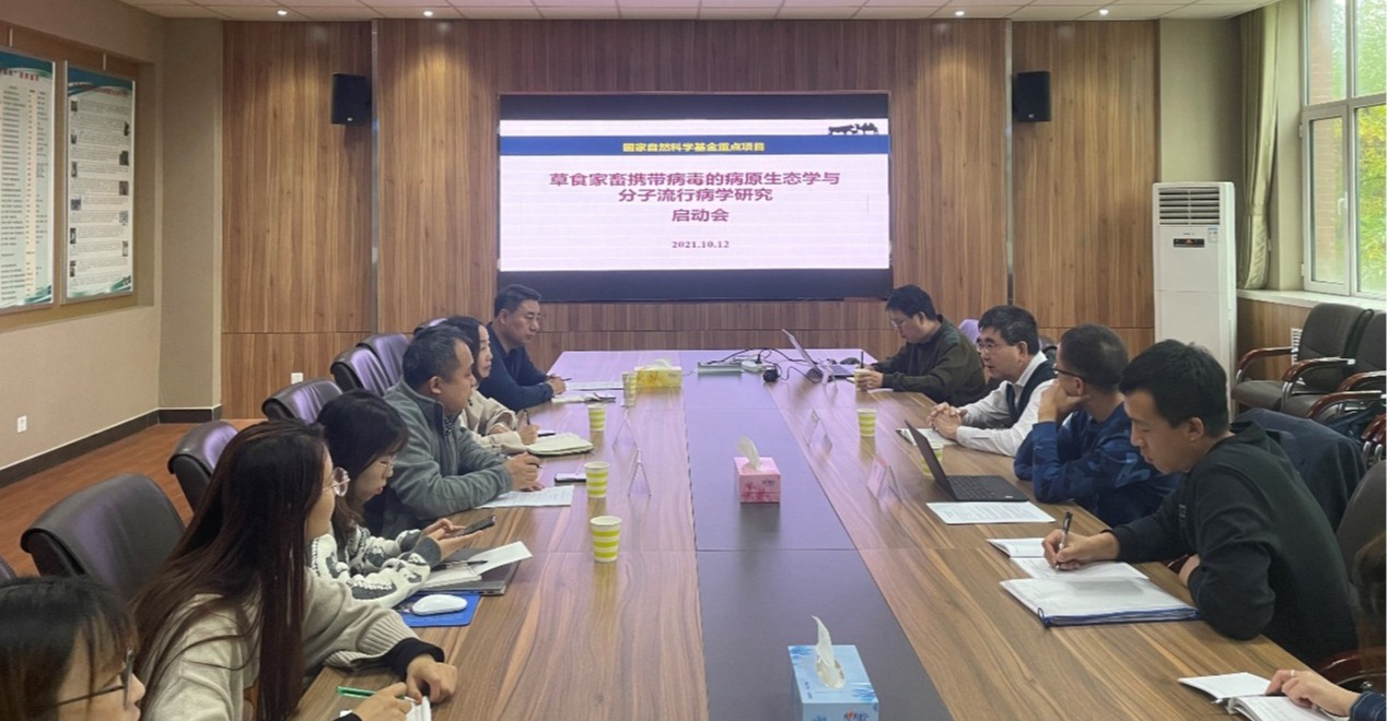 老澳门开奖记录